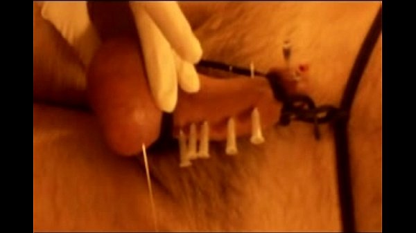 cock and balls skewered xvid