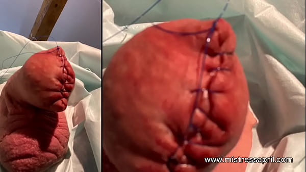 Dominatrix Mistress April – cock sewing